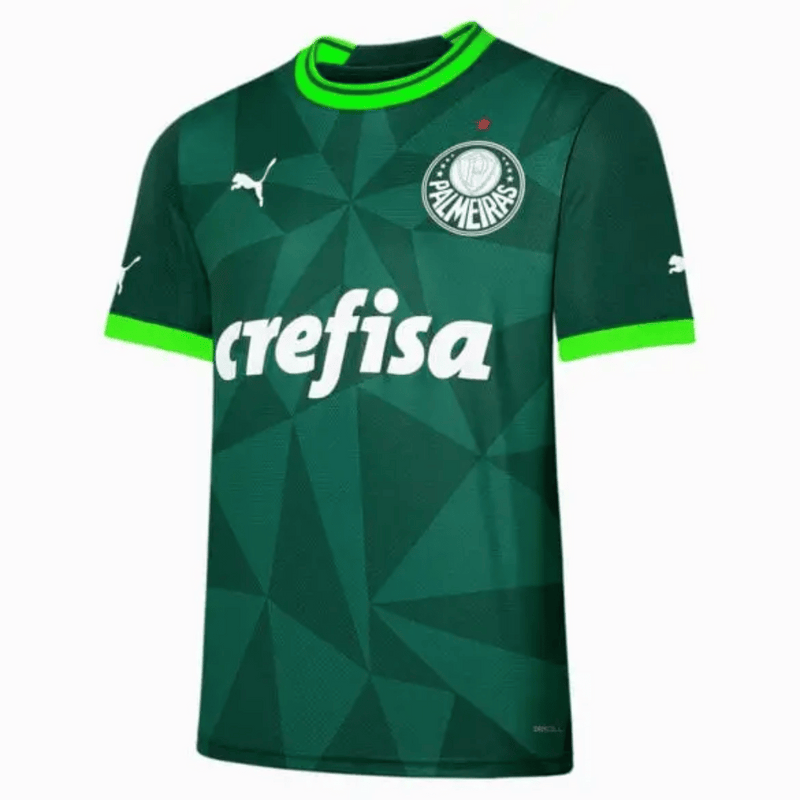 Camisa Palmeiras Home 23/24 - Puma Torcedor Masculina - Verde