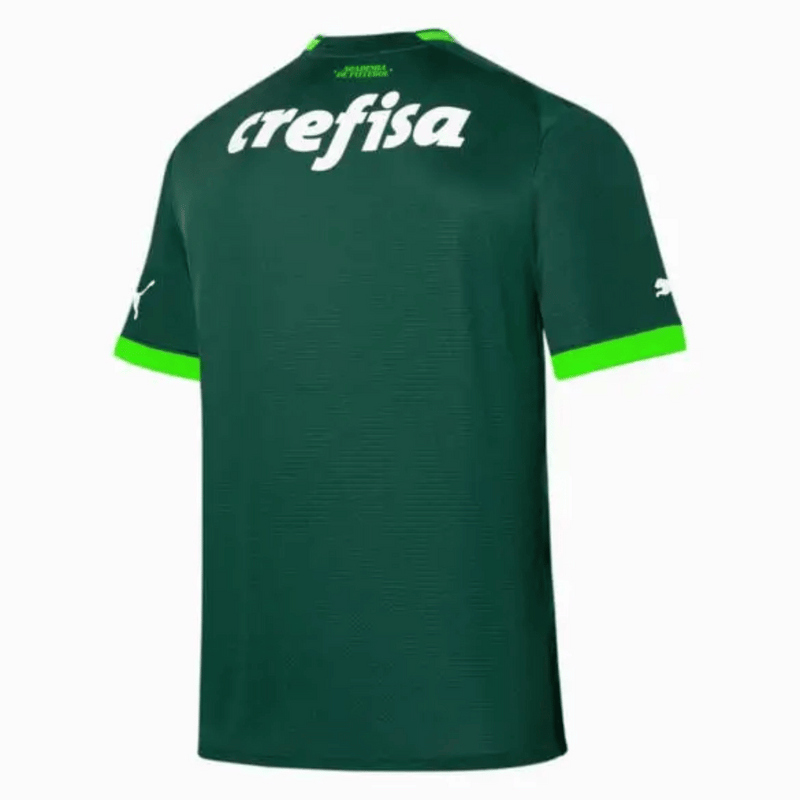 Camisa Palmeiras Home 23/24 - Puma Torcedor Masculina - Verde