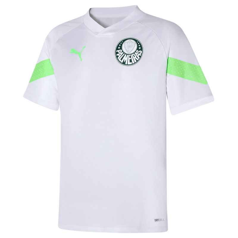 Camisa Palmeiras Treino 23/24 - Adidas Torcedor Masculina